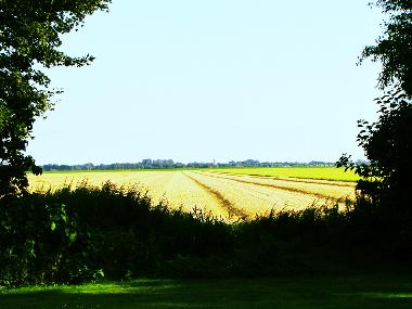 Ferienhaus in Bunde-Dollart (Nordsee-Festland / Ostfriesland) oder Ferienwohnung oder Ferienhaus