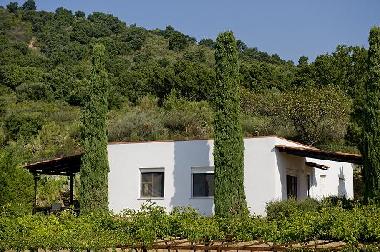 Ferienwohnung in Palinuro (Salerno) oder Ferienwohnung oder Ferienhaus