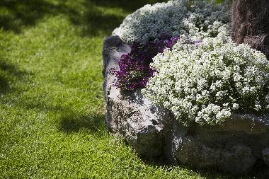 Ferienhaus in Duce (Splitsko-Dalmatinska) oder Ferienwohnung oder Ferienhaus
