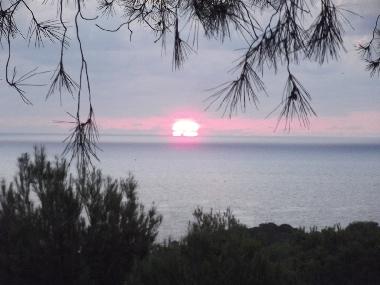 Ferienwohnung in Sant Carles de Peralta (Ibiza) oder Ferienwohnung oder Ferienhaus