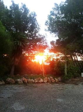 Ferienwohnung in Sant Carles de Peralta (Ibiza) oder Ferienwohnung oder Ferienhaus