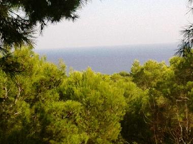 Ferienwohnung in Sant Carles de Peralta (Ibiza) oder Ferienwohnung oder Ferienhaus