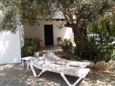 Ferienwohnung in Sant Carles de Peralta (Ibiza) oder Ferienwohnung oder Ferienhaus