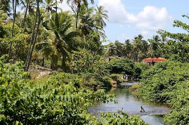 Ferienhaus in Imbassai (Bahia) oder Ferienwohnung oder Ferienhaus