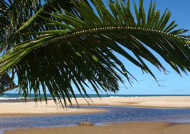 Ferienhaus in Imbassai (Bahia) oder Ferienwohnung oder Ferienhaus