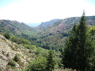 Villa in rosis (H�rault) oder Ferienwohnung oder Ferienhaus