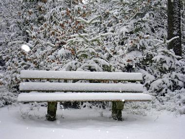 Ferienwohnung in Falkenstein (Oberpfalz) oder Ferienwohnung oder Ferienhaus