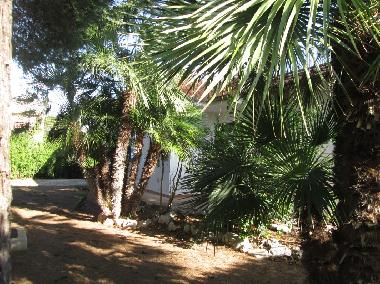 Ferienhaus in Capo San Vito (Taranto) oder Ferienwohnung oder Ferienhaus