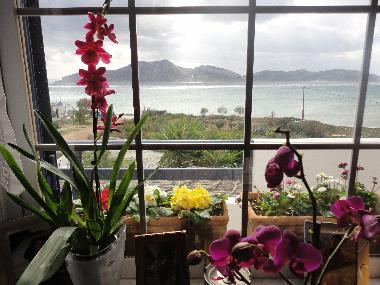 Ferienhaus in Koufonisi (Kyklades) oder Ferienwohnung oder Ferienhaus