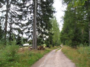 Wanderweg in Benshausen