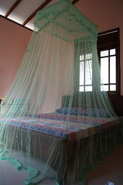 Ferienhaus in Waskaduwa (Kalutara) oder Ferienwohnung oder Ferienhaus