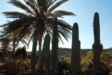Ferienhaus in Costa Calma (Fuerteventura) oder Ferienwohnung oder Ferienhaus