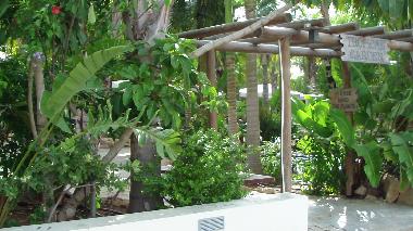 Ferienwohnung in Ayia Napa (Famagusta) oder Ferienwohnung oder Ferienhaus