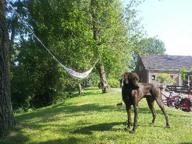 Ferienhaus in Metslawier (Friesland) oder Ferienwohnung oder Ferienhaus