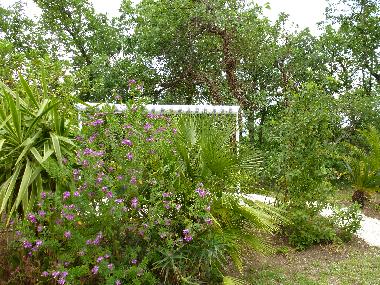 Ferienhaus in MONTESQUIEU-DES-ALBERES  (Pyr�n�es-Orientales) oder Ferienwohnung oder Ferienhaus