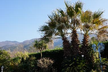 Ferienhaus in MONTESQUIEU-DES-ALBERES  (Pyr�n�es-Orientales) oder Ferienwohnung oder Ferienhaus