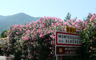 Ferienhaus in MONTESQUIEU-DES-ALBERES  (Pyr�n�es-Orientales) oder Ferienwohnung oder Ferienhaus