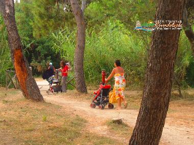 Ferienwohnung in Pineto (Teramo) oder Ferienwohnung oder Ferienhaus