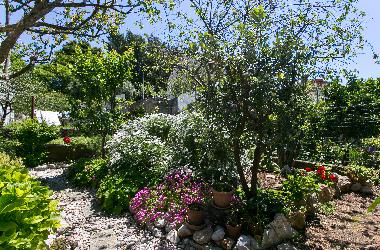 Ferienwohnung in Dubrovnik (Dubrovacko-Neretvanska) oder Ferienwohnung oder Ferienhaus