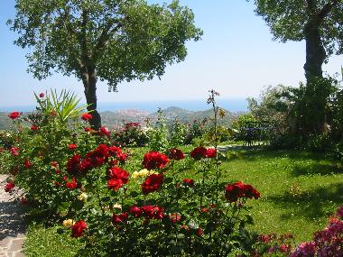 Ferienhaus in Imperia (Imperia) oder Ferienwohnung oder Ferienhaus