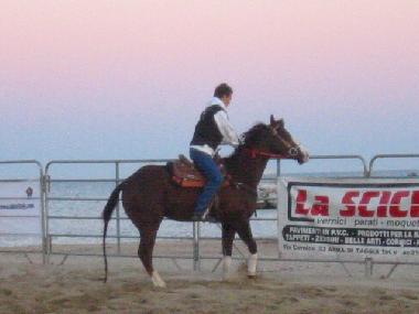 Ferienhaus in Imperia (Imperia) oder Ferienwohnung oder Ferienhaus