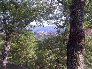 Ferienhaus in Barga (Lucca) oder Ferienwohnung oder Ferienhaus