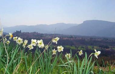 Ferienhaus in Barga (Lucca) oder Ferienwohnung oder Ferienhaus