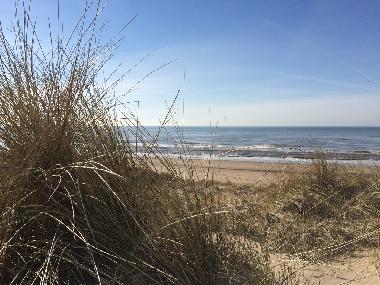 Ferienhaus in Noordwijk (Zuid-Holland) oder Ferienwohnung oder Ferienhaus
