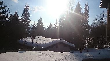 Ferienwohnung in M�hlbach (Pinzgau-Pongau) oder Ferienwohnung oder Ferienhaus