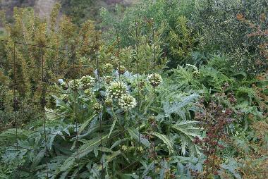 Ferienhaus in kritinia (Dodekanisos) oder Ferienwohnung oder Ferienhaus
