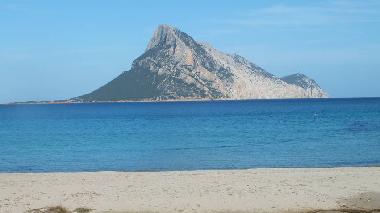Ferienhaus in Porto TAverna (Olbia-Tempio) oder Ferienwohnung oder Ferienhaus