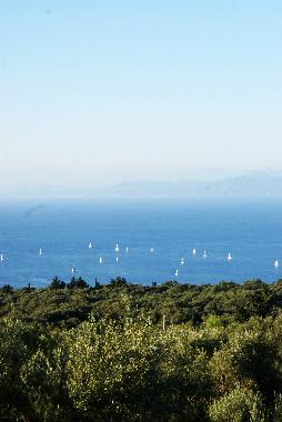Ferienwohnung in Lefkada (Lefkada) oder Ferienwohnung oder Ferienhaus