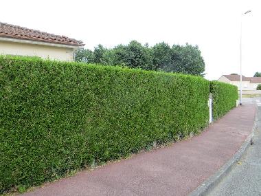 Ferienhaus in LIMOGES (Haute-Vienne) oder Ferienwohnung oder Ferienhaus