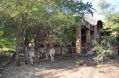 Villa in Marloth Park (Mpumalanga) oder Ferienwohnung oder Ferienhaus