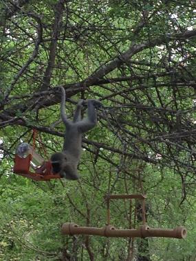 Villa in Marloth Park (Mpumalanga) oder Ferienwohnung oder Ferienhaus