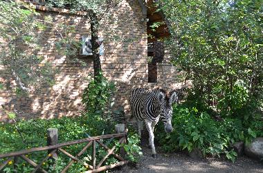 Villa in Marloth Park (Mpumalanga) oder Ferienwohnung oder Ferienhaus