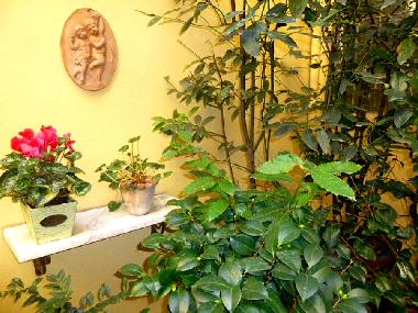 Ferienwohnung in FLORENCE (Firenze) oder Ferienwohnung oder Ferienhaus