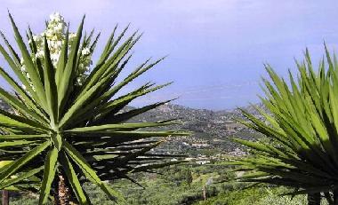 Ferienhaus in Selianitika (Korinthia) oder Ferienwohnung oder Ferienhaus