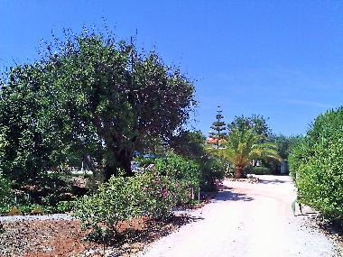 Villa in Albufeira (Algarve) oder Ferienwohnung oder Ferienhaus