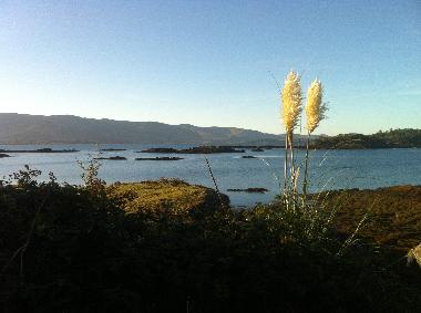 Unsere Bucht ca. 150 m entfernt