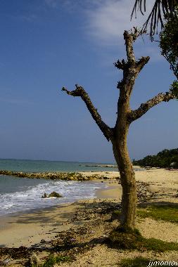 Ferienhaus in San Antero (Cordoba) oder Ferienwohnung oder Ferienhaus