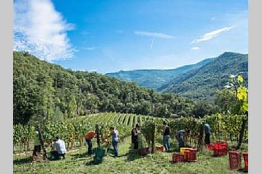 Ferienhaus in Londa (Firenze) oder Ferienwohnung oder Ferienhaus