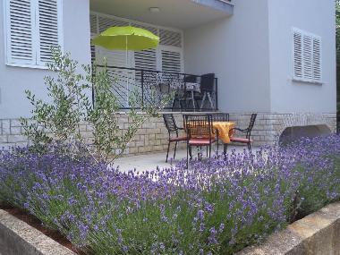Ferienwohnung in Poreč (Istarska) oder Ferienwohnung oder Ferienhaus