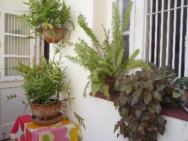 Ferienwohnung in Vedado (La Habana) oder Ferienwohnung oder Ferienhaus