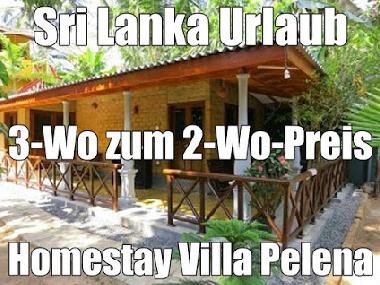 Pension in Weligama-Pelena (Galle) oder Ferienwohnung oder Ferienhaus