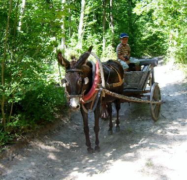 Ausfahrt zur Steilk�ste