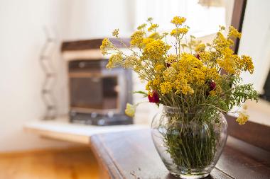 Villa in Pitve (Splitsko-Dalmatinska) oder Ferienwohnung oder Ferienhaus