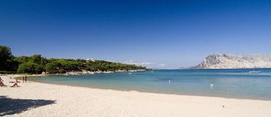 Ferienwohnung in Olbia (Olbia-Tempio) oder Ferienwohnung oder Ferienhaus