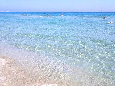 Ferienwohnung in Olbia (Olbia-Tempio) oder Ferienwohnung oder Ferienhaus