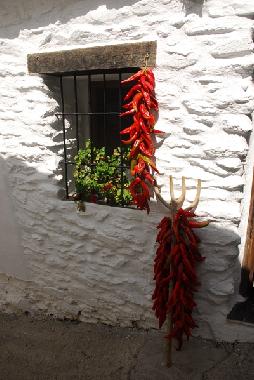 Paprikaschoten Sonnen getrocknet